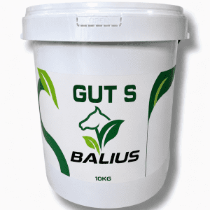 Balius Gut Solution