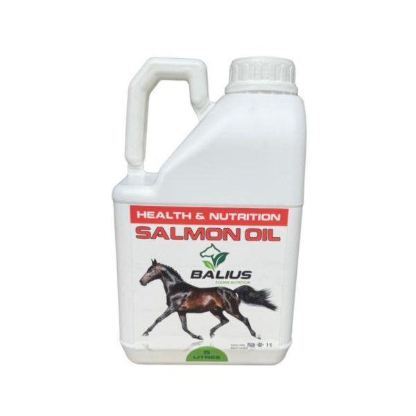 Salmon Oil