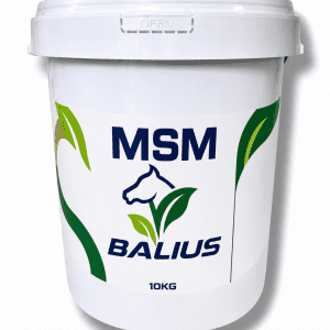 Balius MSM Powder